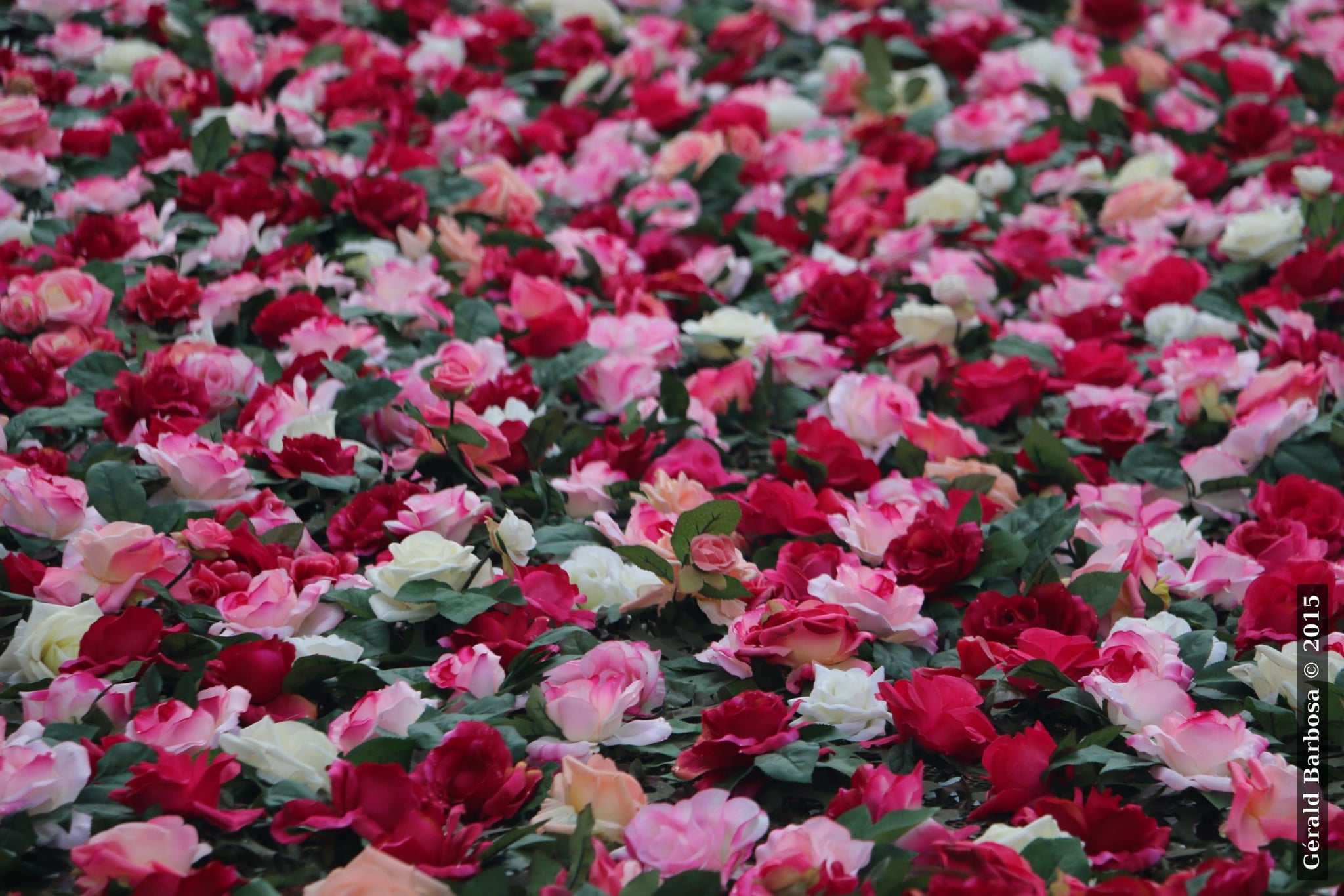 Parc de la Tête d-Or , Lyon (2015) - Gérald Barbosa